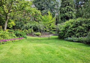 Optimiser l'expérience du jardin à La Roche-Guyon